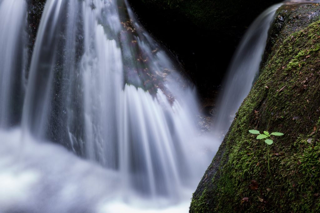 Ausgefuchste Details in der Naturfotografie. Auch als Ausschnitt lässt sich die Ysperklamm in Szene setzen.