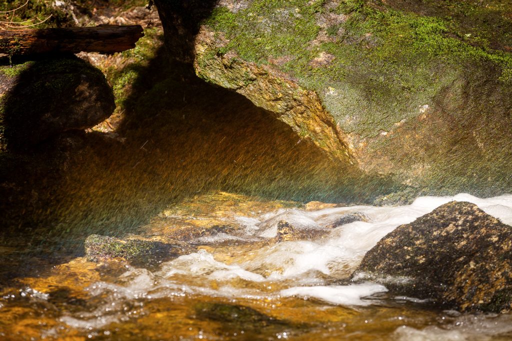 Auch wenn wir wieder kein Gold am Ende des Regenbogens gefunden haben. Wir zeigen dir, wir du Lichtspiele in der Naturfotografie einfangen kannst.