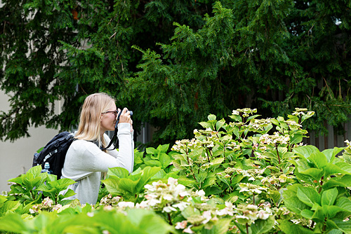 Fotografie Inspirationen. Eine Fotokurs Teilnehmerin steht zwischen grünen Büschen und fotografiert