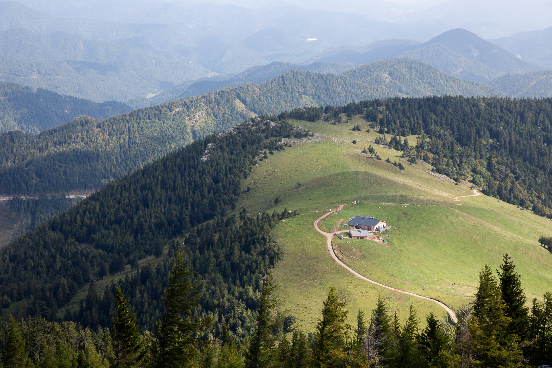 Komm mit uns auf einen Fotostreifzug am Plateau des Schneeberges. Erlebe in einer kleinen Gemeinschaft eine Bahnfahrt auf den Berg und einen einfachen fotografischen Wandertag in Niederösterreich mit fantastischen Ausblicken.