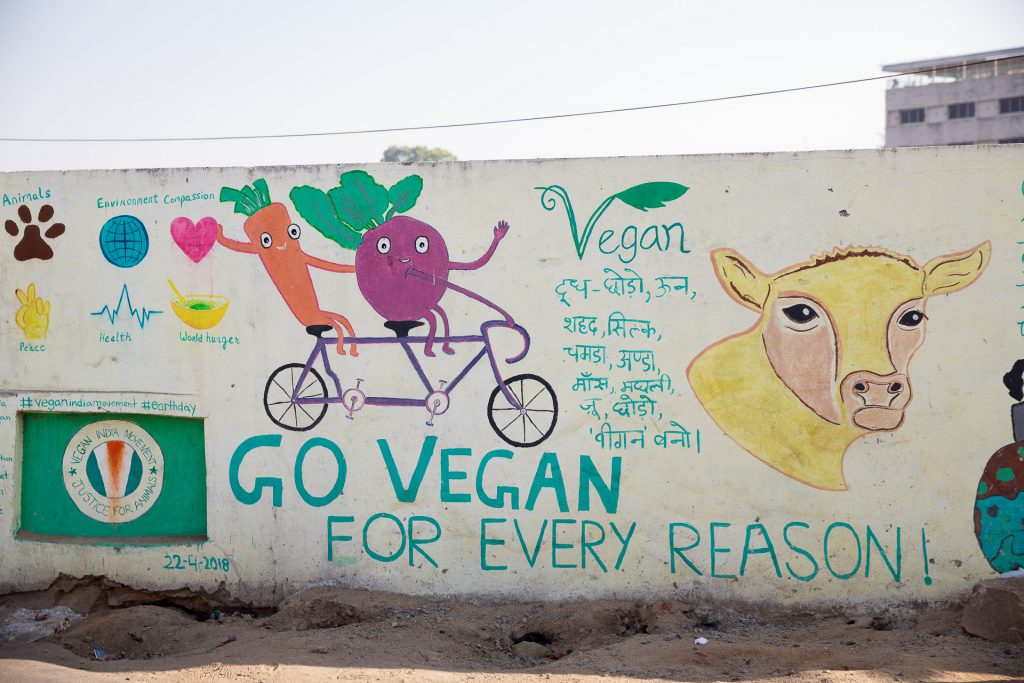 In Indien sind die meisten Speisen vegetarisch oder vegan.