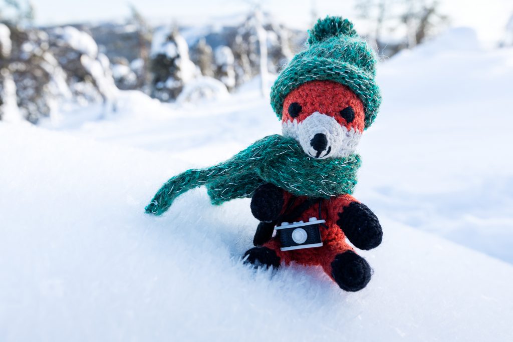 Die FOTOFÜCHSE Wunschorte. Fotofuchs Finn ist schon bestens für das spezielle isländische Wetter vorbereitet.