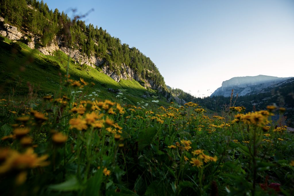 Die FOTOFÜCHSE Wunschorte. Eine Brettljause auf der Pühringerhütte nach einem Wander-Fotostreifzug in Österreich im Salzkammergut genießen. Und Fotofuchs Katharina erwarten.