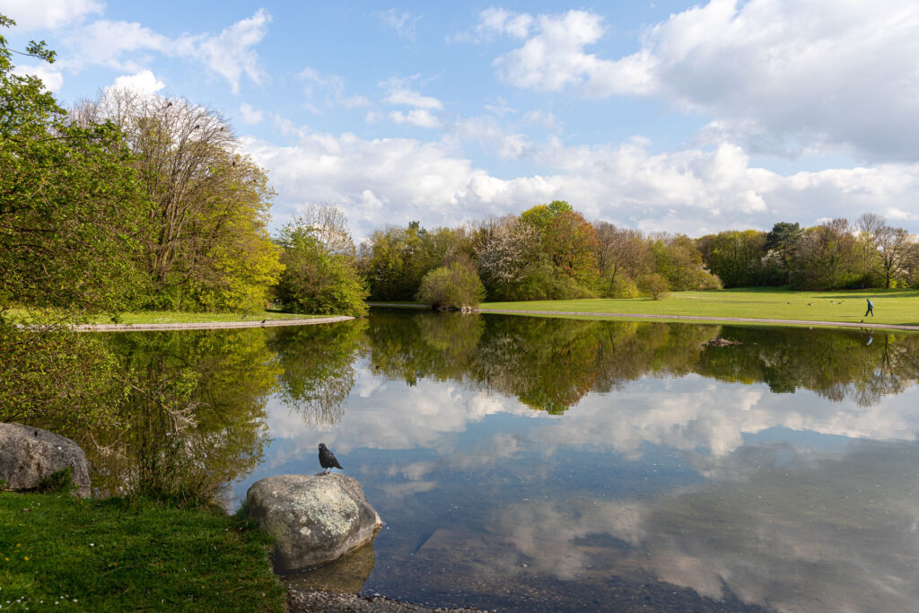 Bei den Wasserstellen im Ostpark bieten sich viele besondere Motive.