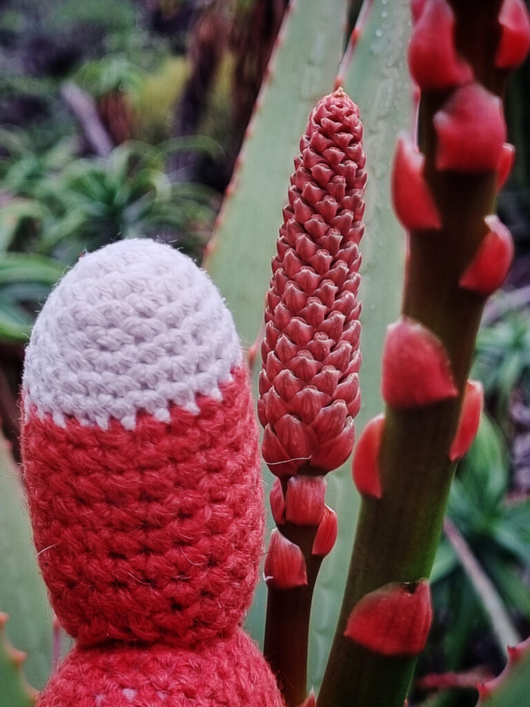 Der Botanische Garten hält viele ausgefuchste Details für dich bereit.