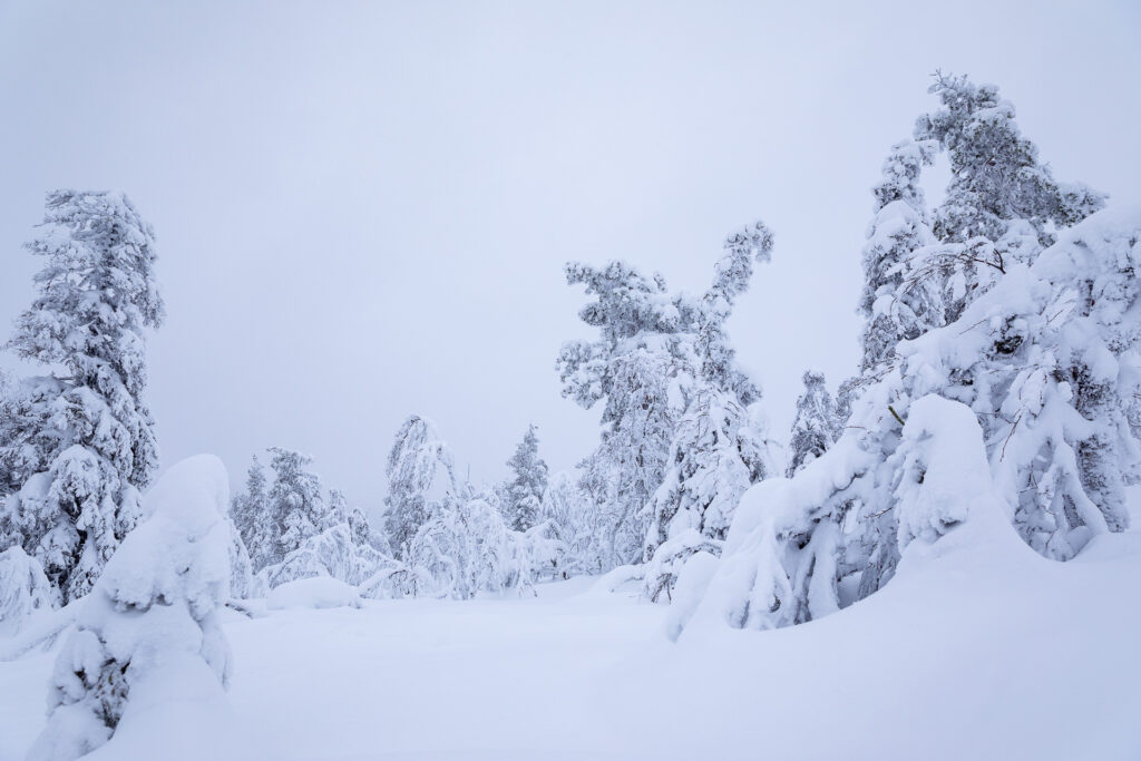 Einer der fotografischen Schwerpunkte unserer Fotoreise Finnland ist natürlich die Landschaftsfotografie.