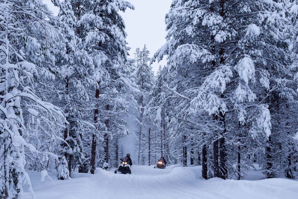 Rasante Motive zeigen wir dir bei unserer Snowmobil Fahrt über den Immeljärvi See und durch den verschneiten Winterwald.