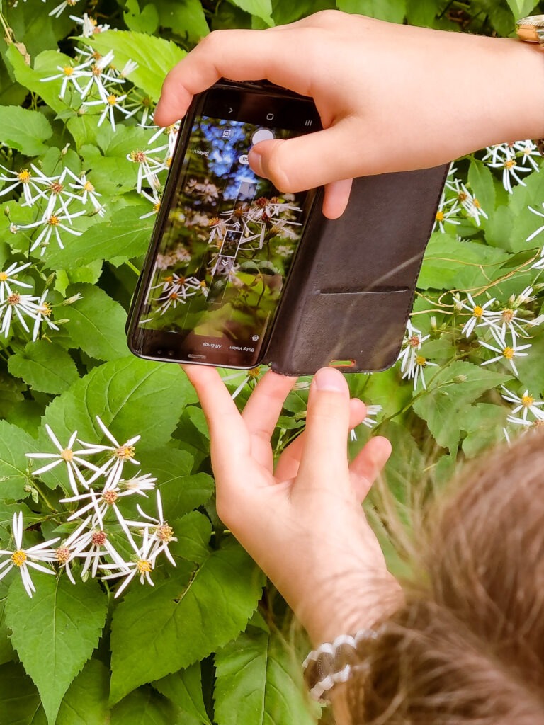 Komm ganz einfach mit deiner Handy-Kamera. Egal ob du mit einem iPhone oder einem Android Gerät fotografierst.