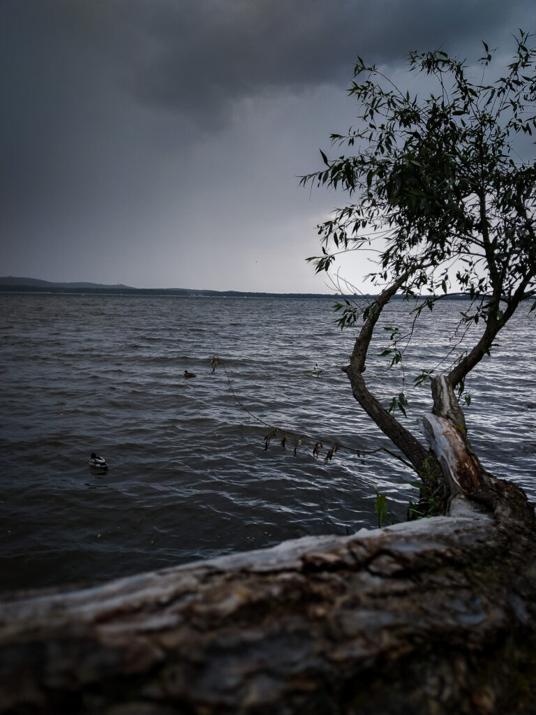 Regenfeste Fotofüchse können mit uns auch bei imposanten Wetter im Grünen mit uns auf Fotostreifzug gehen.